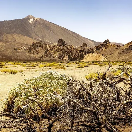 Holiday El Teide *